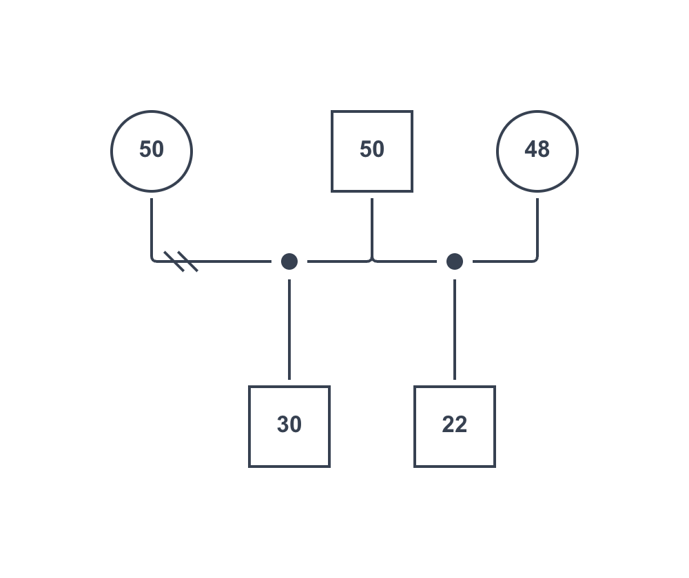 異母きょうだいのジェノグラムの例